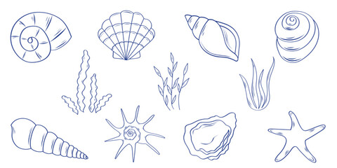 Set of minimalistic tropical shells and algae hand draw. Minimalistic vintage marine prints. Vector elements for fashion posters, invitations, banners, menu covers.