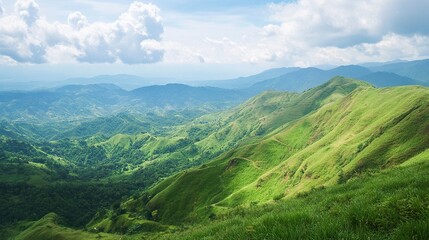 Fototapeta premium mountain landscape in the summer