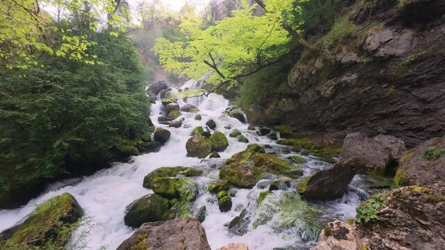 Waterfall meandering through moss and leafy trees in the Fuente de Fornos, Badain, Ainsa, Huesca, Aragonese Pyrenees, 4K video of untouched and wild nature in mountainous environment