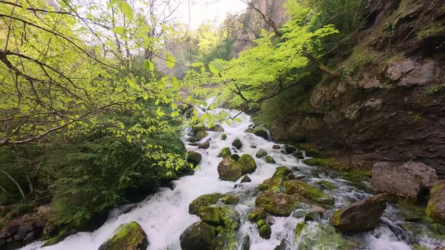 Aerial shot in 4K of mountain river with curves and green vegetation, wild environment in the Fuente de Fornos, Badain, Ainsa, Huesca, Aragonese Pyrenees, ideal for pure nature and without tourism.
