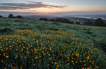May sunrise over the high weald from Darwell hill near Brightling east sussex south east England UK