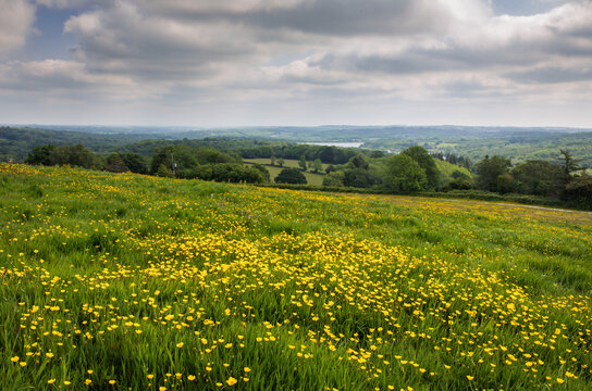 Beautiful views and May buttercups from Darwell hill Brightling on the high weald east Sussex south east England UK