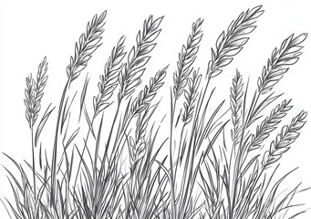 Ilustraci&oacute;n monocrom&aacute;tica de hierba ornamental