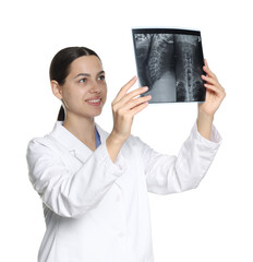 Doctor examining MRI scan on white background