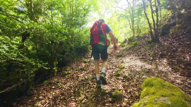 Man walking uphill in wet and green forest trail in Fuente de Fornos, Badain, Ainsa, Huesca, Aragonese Pyrenees, 4K video of trekking in the middle of nature
