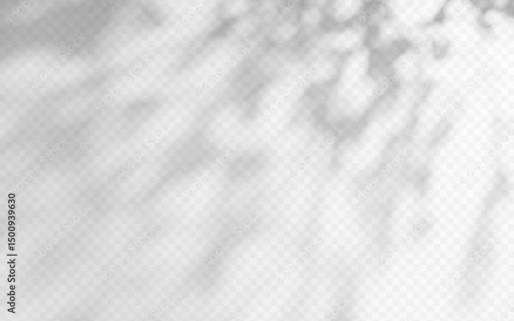 Wall mural abstract shadow overlay from tree branch on a transparent background.