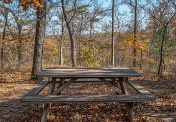 In the midwest, a modern home's backyard patio is transformed into a cosy seating area with stylish furniture, a chrysanthemum-inspired chair, and a serene natural background