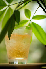 緑の背景のあるグラス