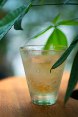 氷とジンジャエール