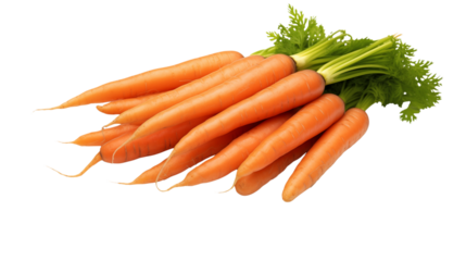 Fresh Organic Carrots Bunch Healthy Vegetable Food Produce Farm Grown