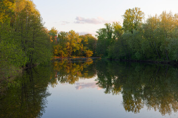 A body of water with trees in the background