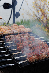 Marinated shashlik is cooked on a barbecue grill over coals. Grilled pork and chicken shashlik.