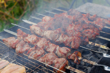 Top down close up of boneless, skinless chicken thighs being grilled.
