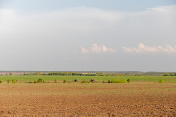Obraz premium A field with a few trees and a couple of horses
