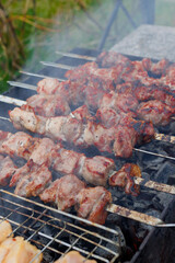 Marinated shashlik is cooked on a barbecue grill over coals. Grilled pork and chicken shashlik.