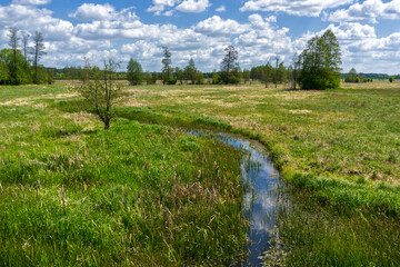 Piękno Krainy Górnej Narwi, Podlasie, Polska