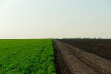 A road runs through a field with a green field on one side