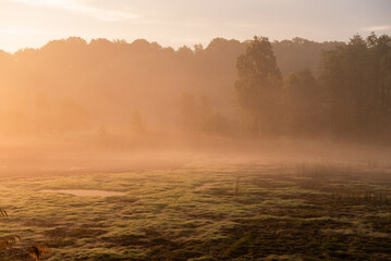 Piękny majowy wsch&oacute;d słońca w Czechowice Dziedzice, Podraj, Śląsk Polska.