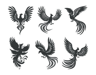 Phoenix bird silhouette vector illustration