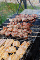 Marinated shashlik is cooked on a barbecue grill over coals. Grilled pork and chicken shashlik.