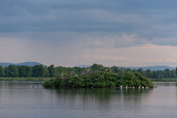Goczałkowice Zdrój, widok na staw Maciek w majowe popołudnie.