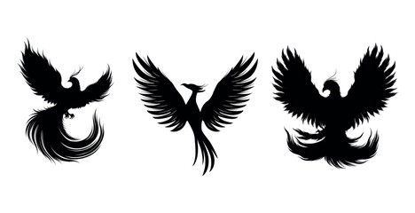 Phoenix bird silhouette vector illustration