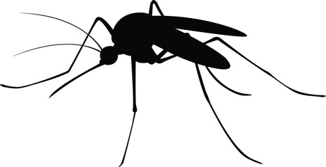 Mosquito-animal-silhouette.-Vector-image.eps