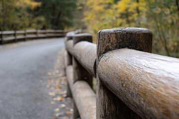 Building a sturdy wooden fence along a winding path in a tranquil forest during the autumn season