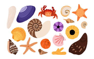 Seashells vector set. Collection of flat, cartoon modern flat icons of molluscs sea shells, starfish, sea urchin, crab, coral. Trendy coral reef under water collection isolated on white
