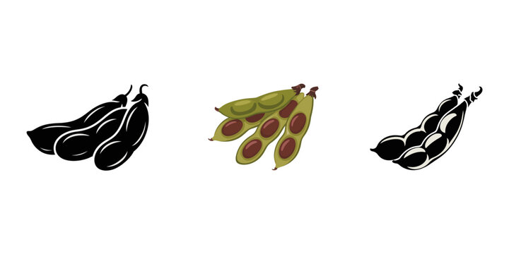 Broad bean, fava bean, faba bean. Hand drawn vector illustration isolated on white background, broad bean pod silhouette vector on white, These are different types of beans: snow peas, edamame.