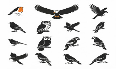 collection of birds