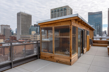 Urban rooftop chicken coop on a modern city building, showcasing sustainable urban farming with wooden structure and wire mesh enclosure amid high-rise skyline. ai generative