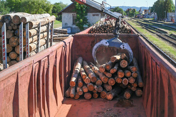 Heavy machinery loads logs onto train cars at a railway yard, depicting the industrial process and logistical complexities involved in transporting raw materials