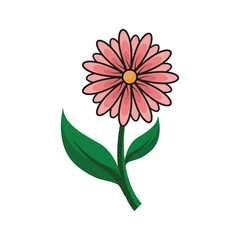 pink flower isolated on white