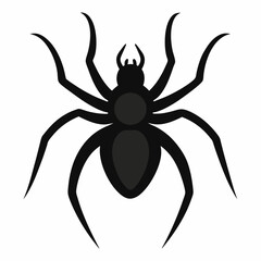 spider Silhouette Vector illustration transparent background.