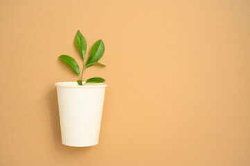 Clean, simple photo of recyclable paper cup with green plant branch on beige background,...