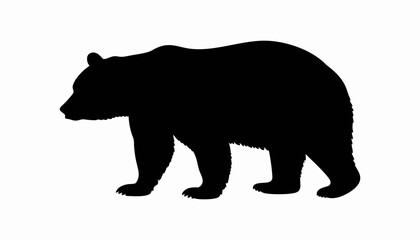 Fototapeta premium Bear silhouette vector illustration of a wild grizzly mammal