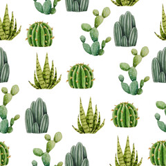 Watercolor seamless pattern of cacti. White background. For design, backgrounds