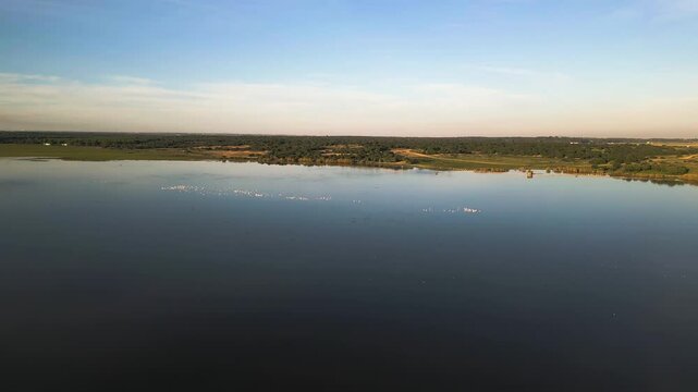 Huge flock of flamingo in middle of lake in Spain, aerial view