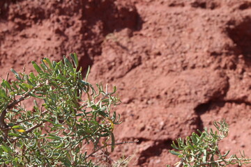 Closeup of Pingshan Hu Grand Canyon is mainly composed of red gravel, sandstone and mudstone, Zhangye City, Gansu Province in China