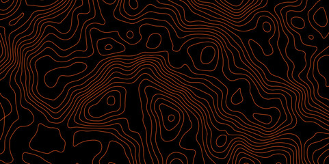 Abstract Topographic Contour Background. Modern Contour Pattern Background. Vector Map Lines. Topographic Flow map