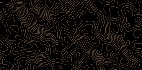 Abstract Topographic Contour Background. Modern Contour Pattern Background. Vector Map Lines. Topographic Flow map