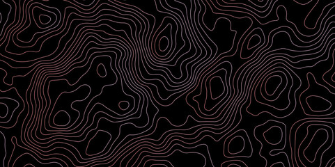 Abstract Topographic Contour Background. Modern Contour Pattern Background. Vector Map Lines. Topographic Flow map