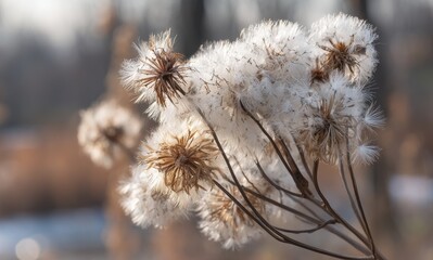 Autumn's Gentle Breath Whispers in the Sunlight