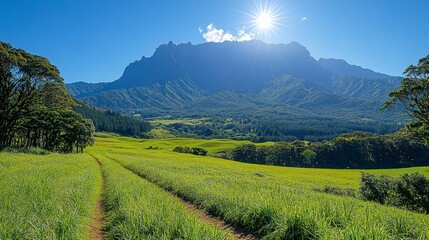 Obraz premium Sunny mountain landscape with green field and trees under a bright blue sky