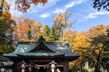 Traditional Japanese shrine in Fujiyoshida, Yamanashi, Japan with curved wooden roof harmonizing with surrounding autumn trees displaying shades of yellow, orange and red
