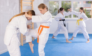 Pairs classes in judo or jiu-jitsu - two teenage girls practice grabbing and throwing on sports mats
