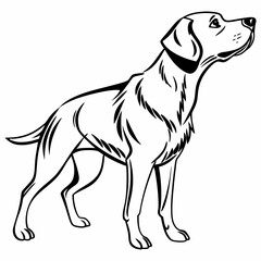 vector illustration of a dog