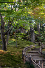Curved path with wooden railings leading uphill through moss-covered ground and trees toward a shaded gazebo in Kenroku-en Garden, Kanazawa, Japan