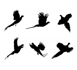 Flying Pheasants - Black Silh...